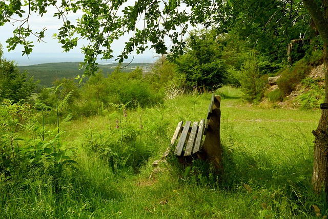双核发力 双核发力