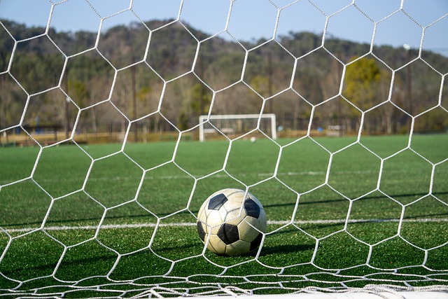 的讨论将持 的讨论将持