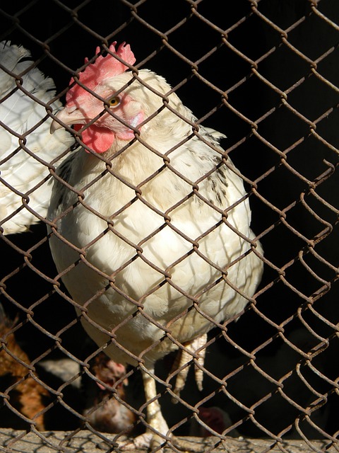 关键球处理 关键球处理