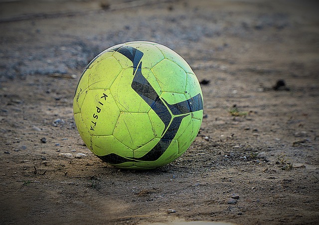 具可以预测 具可以预测