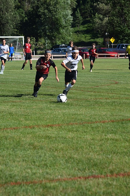 数据表明 数据表明