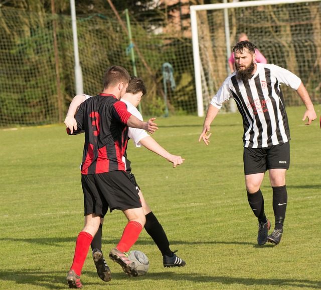 组成部分 组成部分