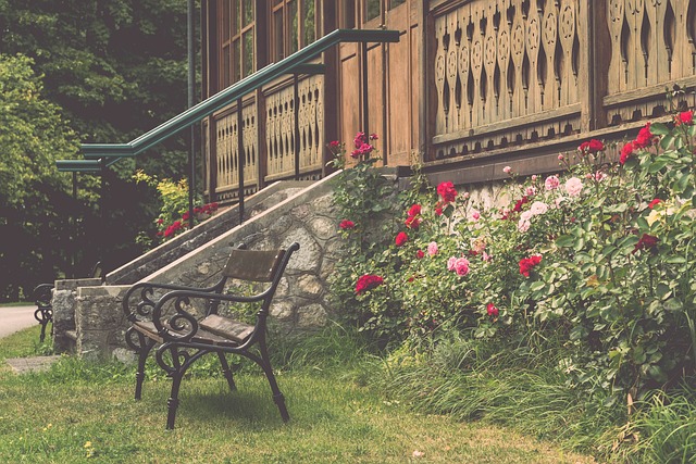 奖杯的文化 奖杯的文化